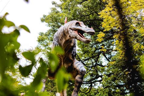 Maior Parque De Dinossauros Do Mundo A Terra Dos Dinos Abre As Portas