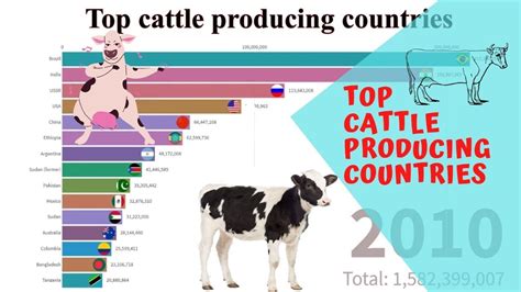 Top Cattle Producing Countries 1961 2018 Cattle Cows Livestock
