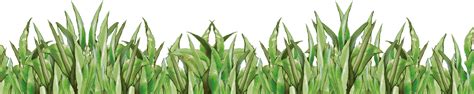 Grass Field Png Clipart Png All Png All