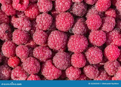 Fresh Raspberry Background Stock Image Image Of Pink 32265545