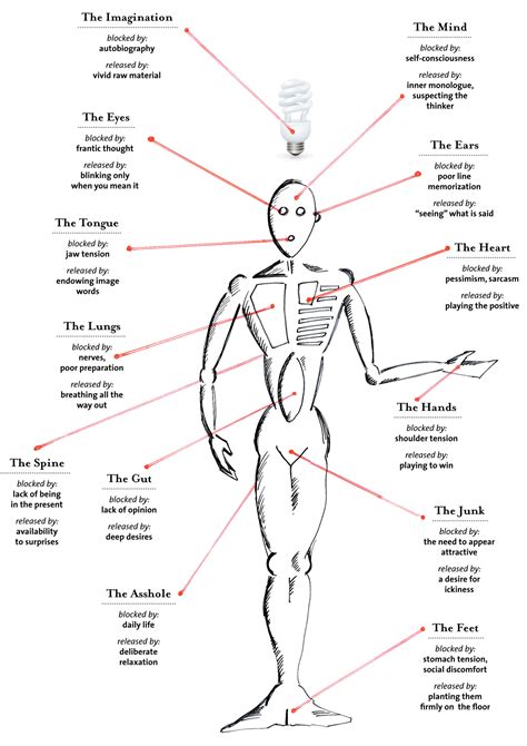 Learn the human body and face parts names in english with the help of the youngest grammarbank team member. Male Anatomy Diagram For Kids : 32 best Cuerpo humano images on Pinterest | Human body ... / Yet ...