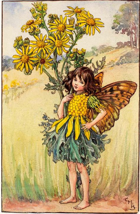 The Ragwort Fairy Flower Fairies