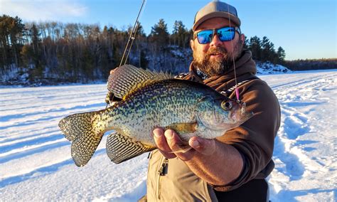 Midwinter Crappie Fishing Tips Northland Fishing Tackle