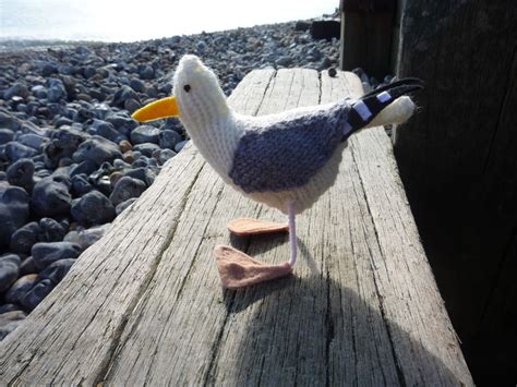 Check spelling or type a new query. Knit for Victory: Cute seagull