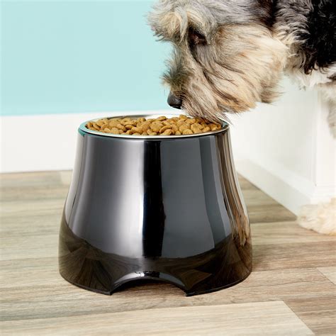 Top 10 Elevated Dog Food Bowls For Healthy And Happy Pups Our Buying