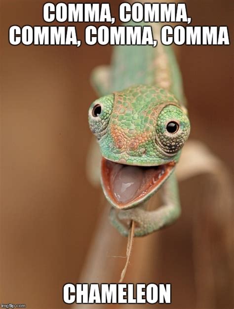Chameleon Memes Amp S Imgflip Gambaran