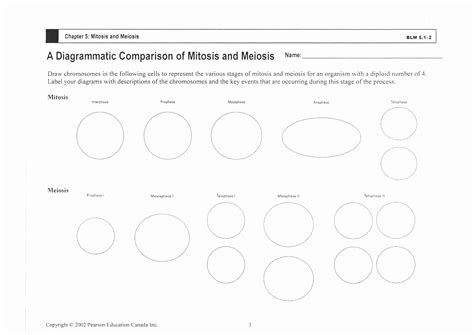 These are divided between the first time the cell divides (meiosis i) and the pair of chromosomes are then pulled apart by the meiotic spindle, which pulls. 50 Mitosis Vs Meiosis Worksheet Answers | Chessmuseum ...