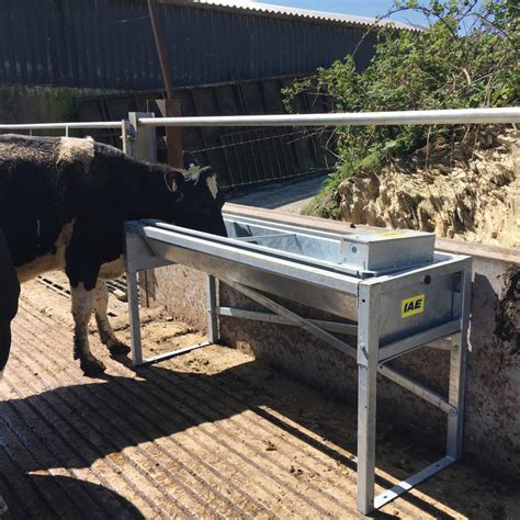 Free Standing Tipping Water Trough Iae W Burton And Sons Timber