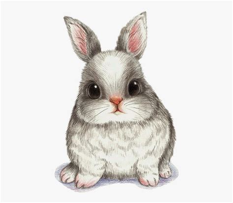 Drawing Watercolor Painting Art Image Fat Rabbit Cartoon Drawing
