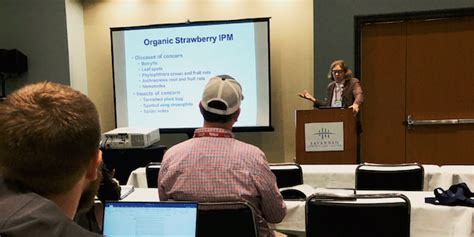 While there are several large pest control companies that cover areas throughout the united states and even other countries, they are less. Southeast's organic berry growers deal with diseases ...