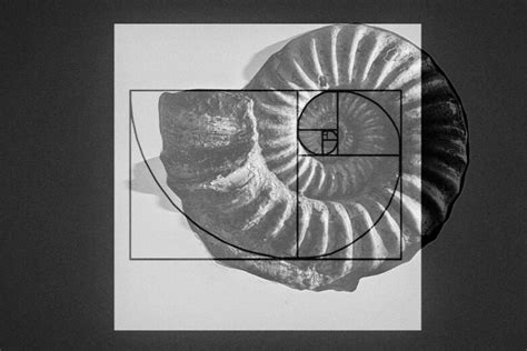 The Golden Ratio How And Why You Should Use It Picsart Blog