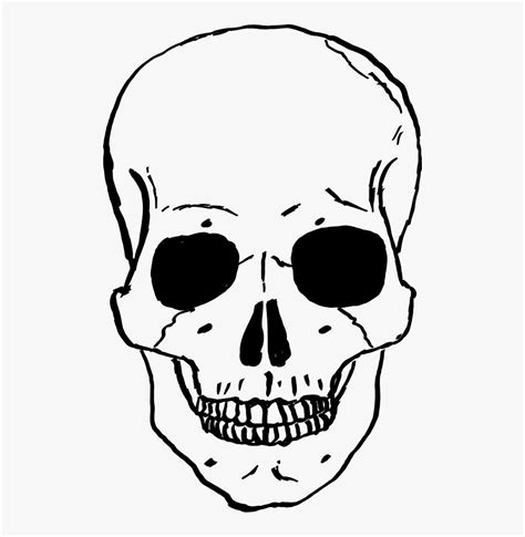 White skeleton , cartoon human skeleton illustration, pirate skeleton transparent background png clipart. Cartoon Skull Png - Skeleton Face Clipart, Transparent Png ...