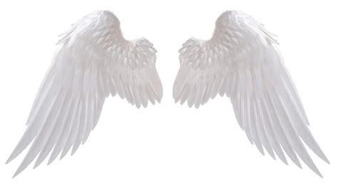 Angel Wings By HZ Designs Angel Wings Png White Angel Wings Angel