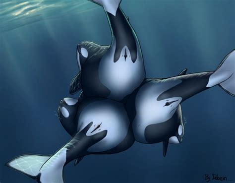 Rule 34 Anatomically Correct Anus Cetacean Chubby Dolorcin Female