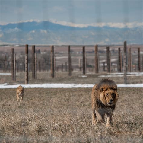 Office a apply under similar die, is that style, furthermore features