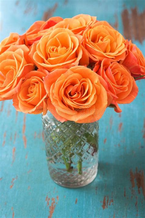Orange Rose Flowers In Vase Stock Image Image Of Orange Bunch