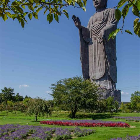 What Is The Largest Buddha Statue In Asia