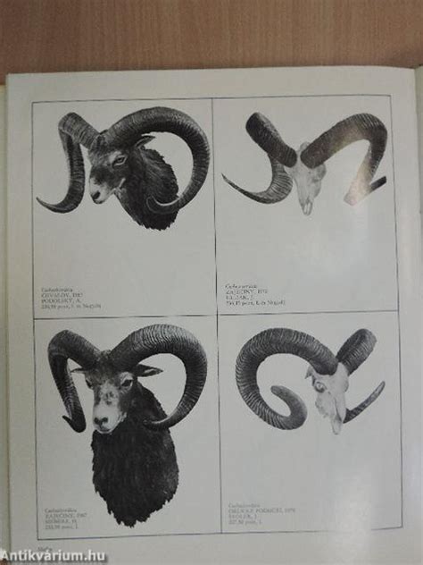 A hungexpo átalakítása, az ott. Földes László: Vadászati Világkiállítás 1971. (Corvina ...