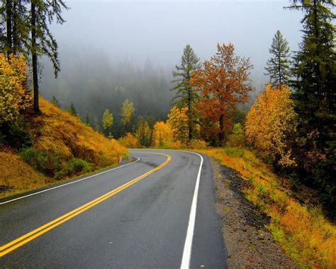 Autumn Road Nature Wallpapers Wallpapers High Definition Wallpapers
