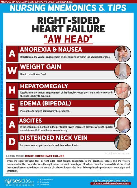 Right Sided Heart Failure Manifestations Aw Head Cardiovascular Care