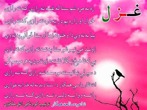Pashto Times Pashto Poetry پختو شاعری۔