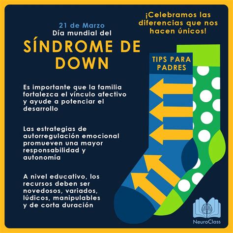 S Ndrome De Down C Mo Lograr Una Inclusi N Educativa Neuroclass