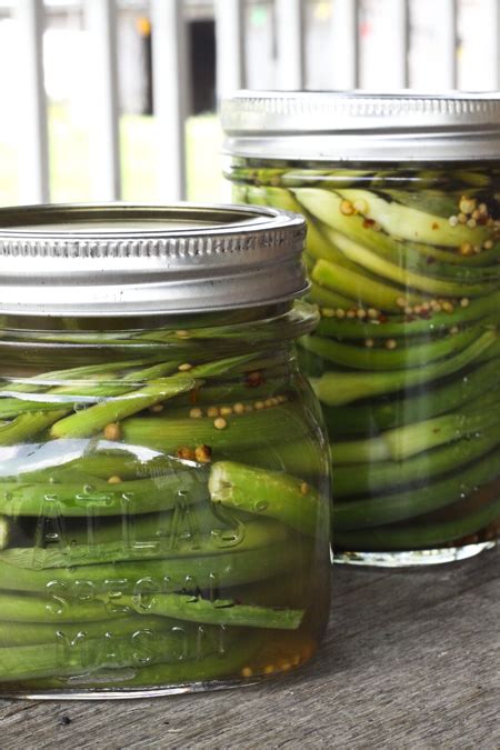 Pickled Garlic Scapes Recipe Hearth