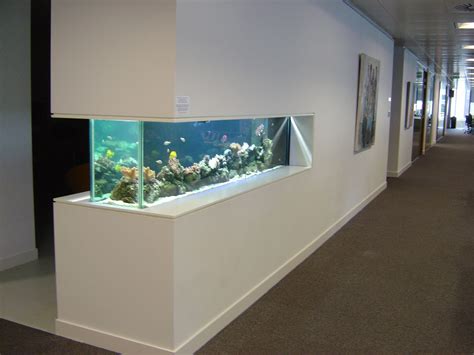 Marine Tank In Wall Prestige Aquariums ตู้ปลา