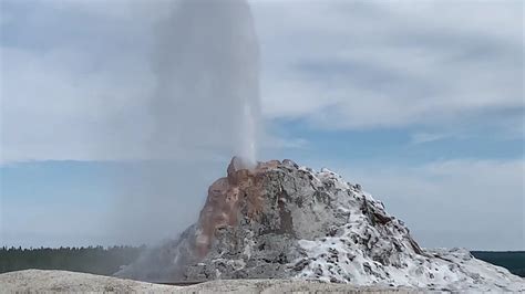White Dome Geyser Erupts In Yellowstone National Park Youtube