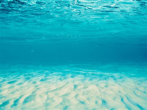 Seamless Ocean Texture Ocean Texture Underwater Background Sea Texture