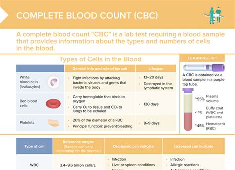 Cbc Blood Test Ranges Chart