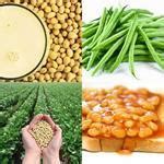 All english (45) french (1) spanish (4) dutch; Respuestas 4 fotos 1 Palabra - JUDIAS