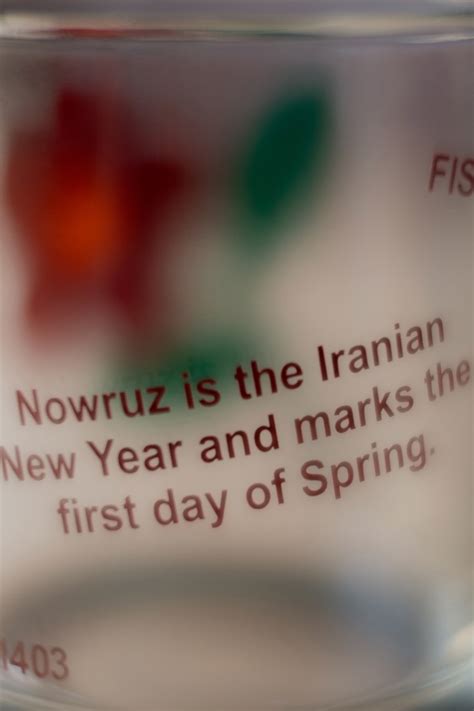 Bijan Berahimi Nowruz 1403 Collection Fisk Portland Hypeart