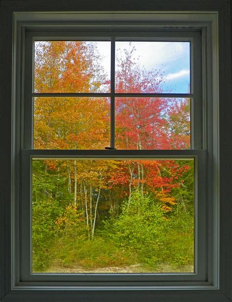 Autumn Colors From The Window Downeast Thunder Farm