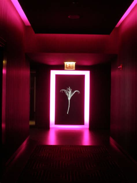 Hotel Hallway At The Wit In Chicago Hotel Hallway Neon Neon Pink