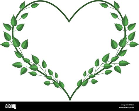Love Concept Illustration Of Heart Shape Frame Made Of Green Vine