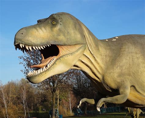 Dinosaur Dino Prehistoric Times · Free Photo On Pixabay
