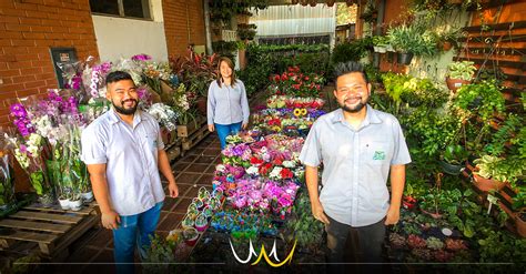 Floricultura De Bauru Faz Sucesso Com Diversidade De Flores E Plantas
