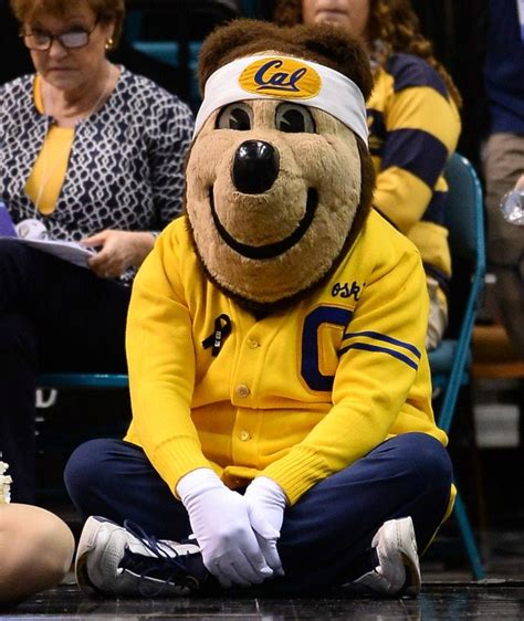 Mascot Monday The University Of California At Berkeley Golden Bears