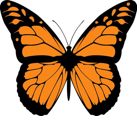 Clipart Monarch Butterfly Clipart Best Clipart Best