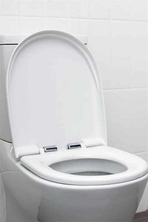 What Is A Short Projection Toilet And Should You Get One