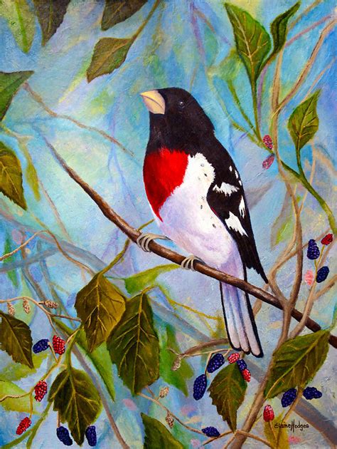 Acrylic Painting Rose Breasted Grosbeak Art And Collectibles Painting Jan
