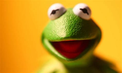 Kermit The Frog Has A New Voice And Its Getting Weird