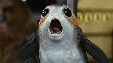 The Baby Porgs From Star Wars The Last Jedi Have Been Revealed And