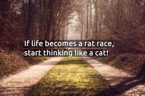 Quote If Life Becomes A Rat Race Start Coolnsmart