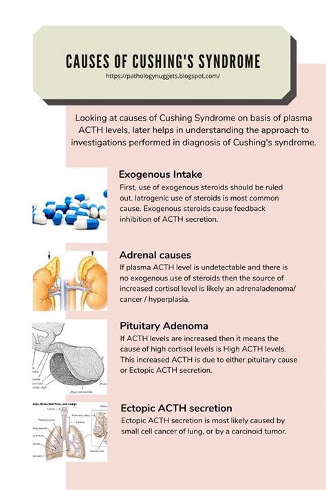 Causes Of Cushings Syndrome Cushings Syndrome Cushings Endocrine