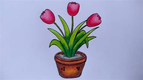 Paling Gokil Cara Menggambar Animasi Bunga Tulip
