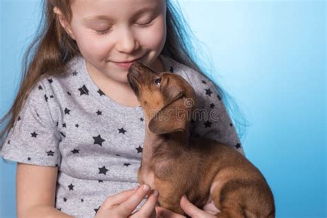 Little Girl With A Puppy Dog In Her Arms Close Up Stock Photo Image