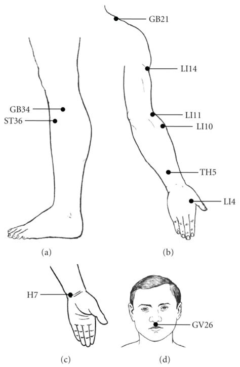 Acupuncture Points Used For Stimulation To Improve The Sports