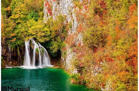 Waterfall Autumn Forest Wall Mural